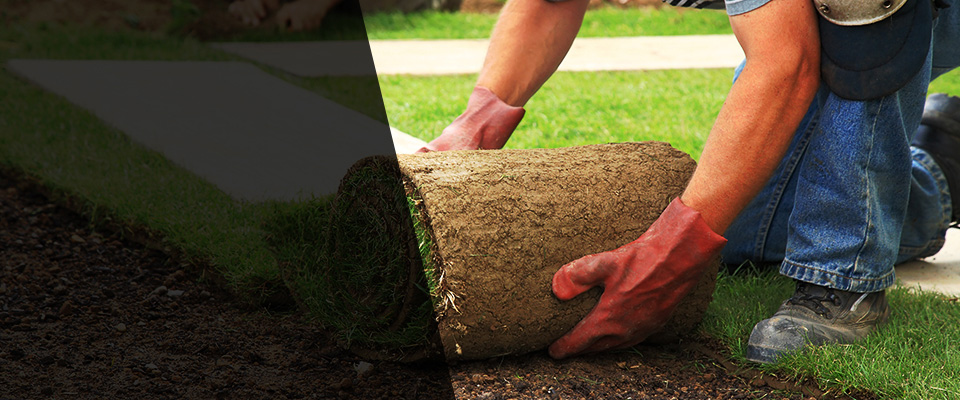 Prairie Village Landscapers